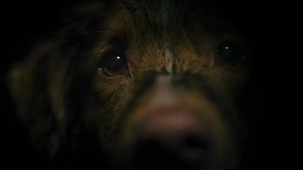 good-boy-2025-crítica